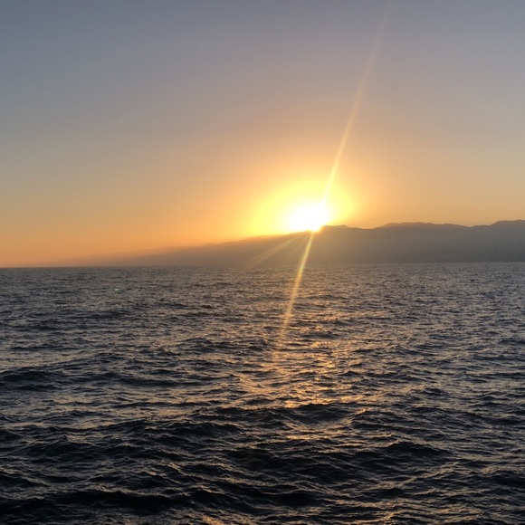 Meet your Posher, Alexsis - Picture 1 of 1